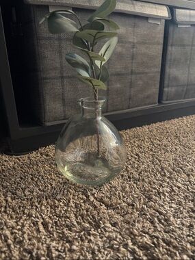 Clear Glass Round Bud Vase with Green Eucalyptus Stem